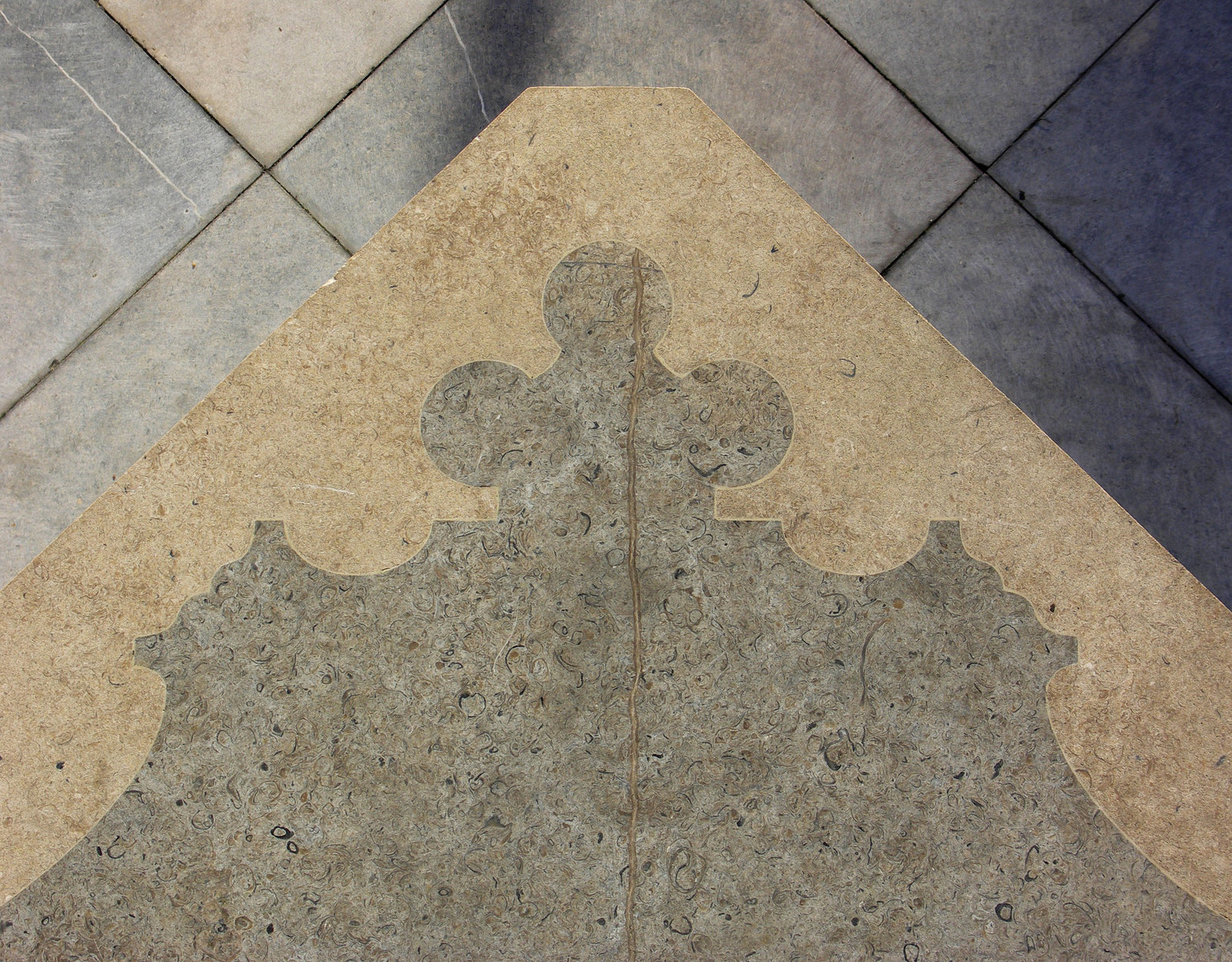 fossils