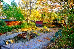 Hortus Botanicus of Leiden University – Von Siebold Garden