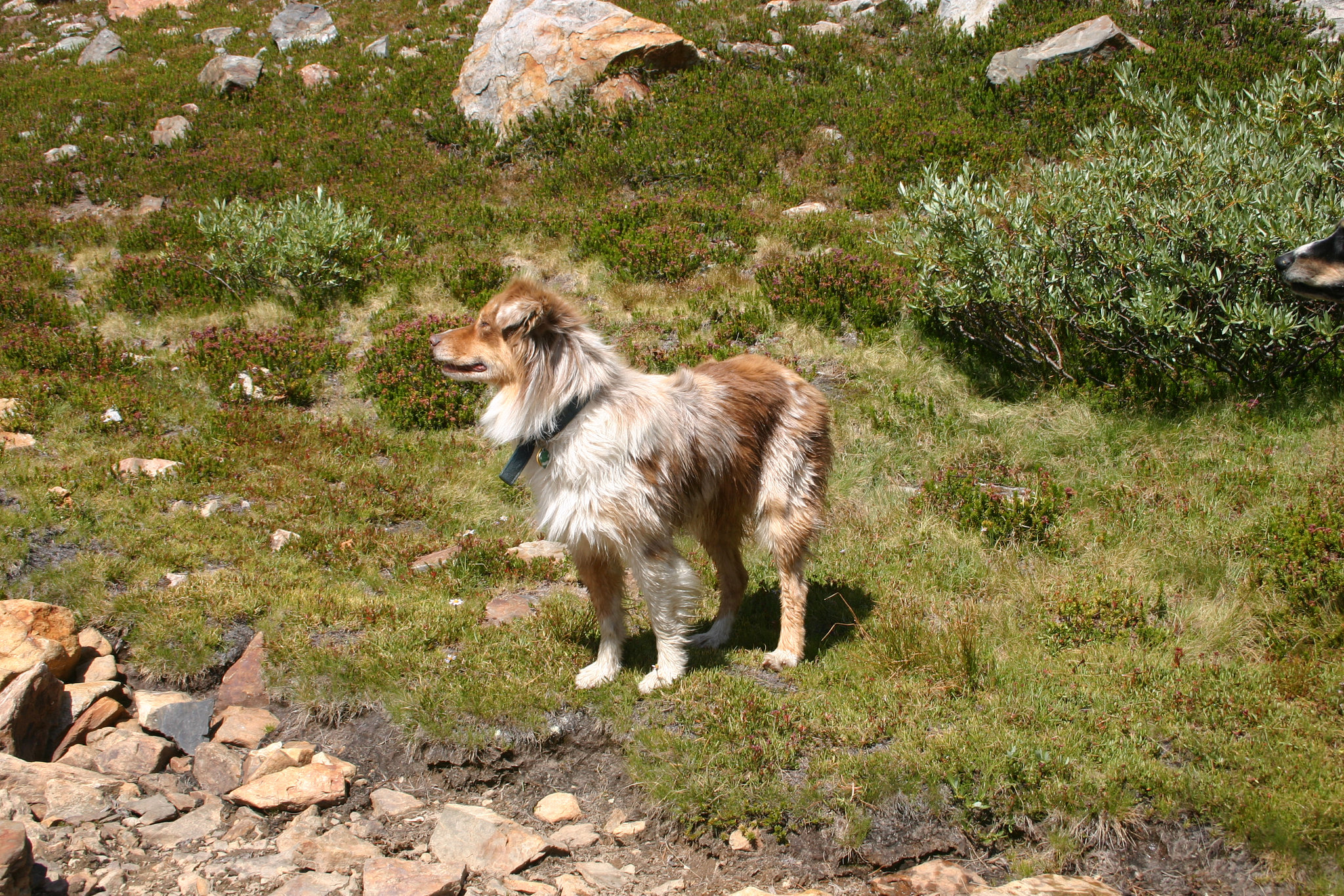 Jill at Moat Lake