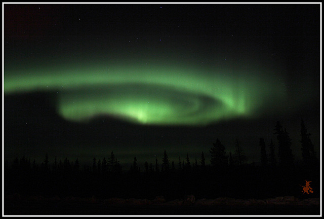 Aurora in Whitehorse