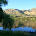 The Columbia River near Rock Island