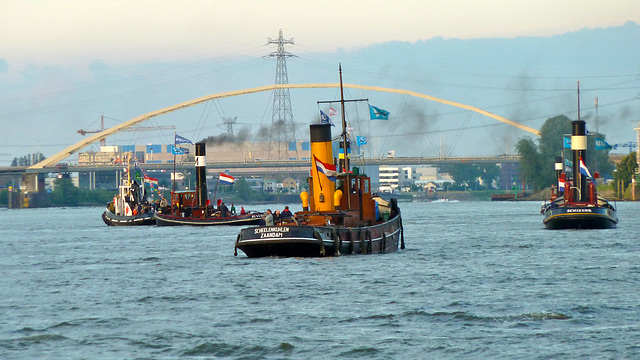 Dordt in Stoom 2012 – Steam tugs