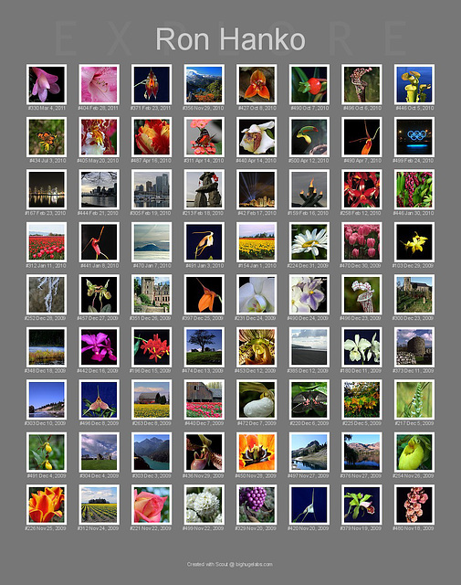 Explore #145-216 Explore #145-216