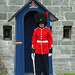 Ceremonial Guard