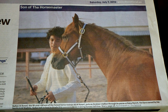 Dubai 2012 – Horse practising aloofness