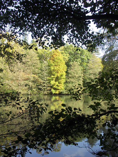 Westwood Lake