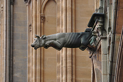 France 2012 – Metz cathedral gargoyle