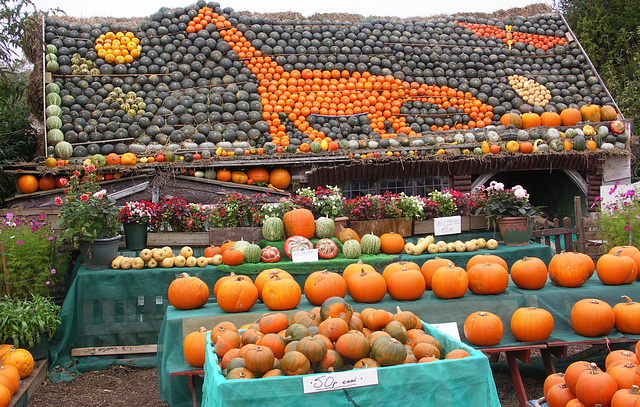 Prehistoric Pumpkin