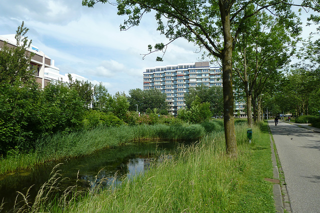 Outskirts of Leiden