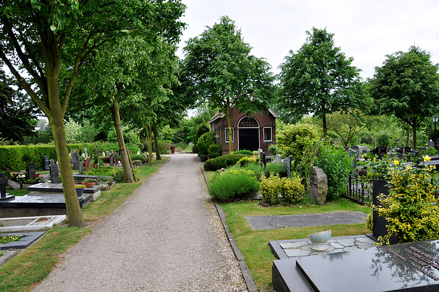 Churchyard of the Green Church