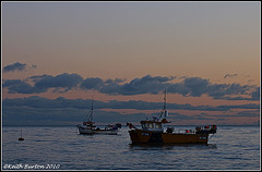 Boats at Selsey