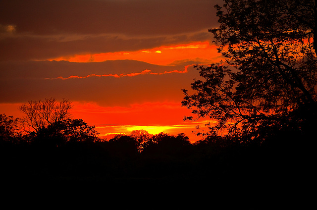 Haughton sunset