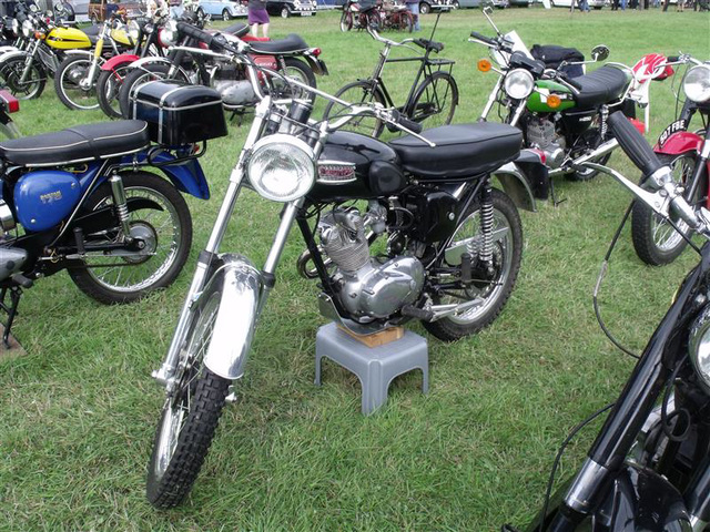raug29 (1205)