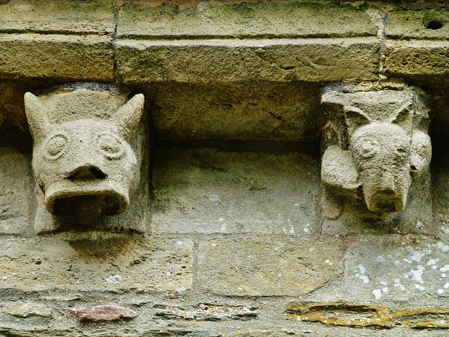 studland church, dorset