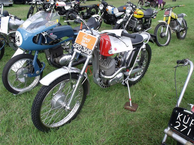 raug29 (1208)