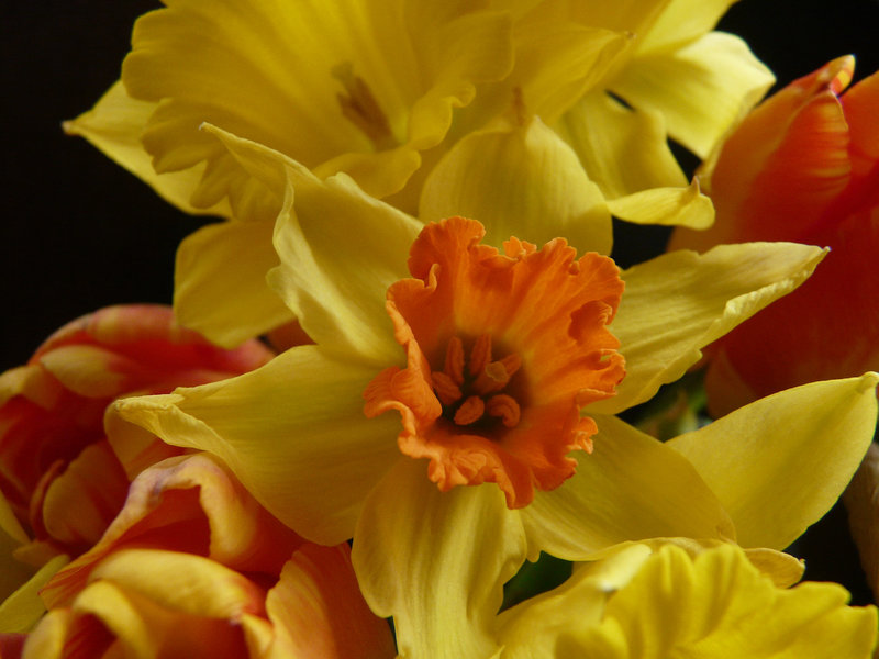 Spring fever