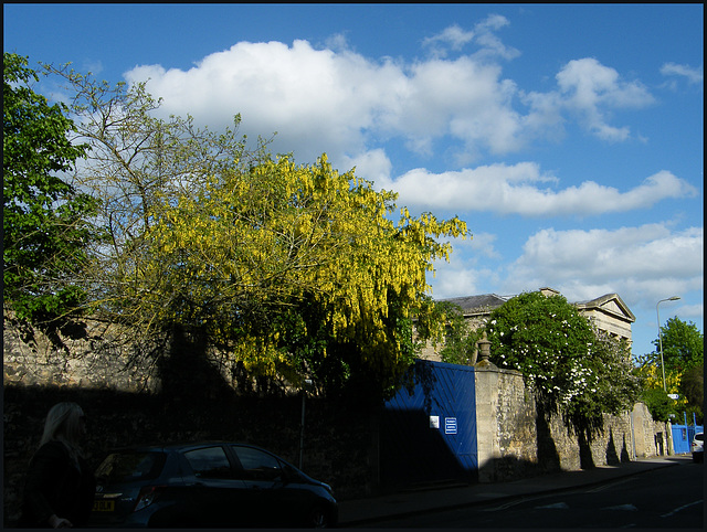 the sky before Blavatnik