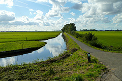 Lagenwaardse Polder and Vliet Polder