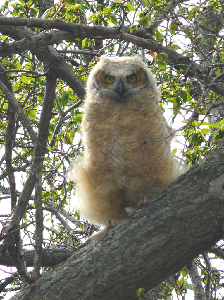 Mom's suffering from Empty Nest syndrome