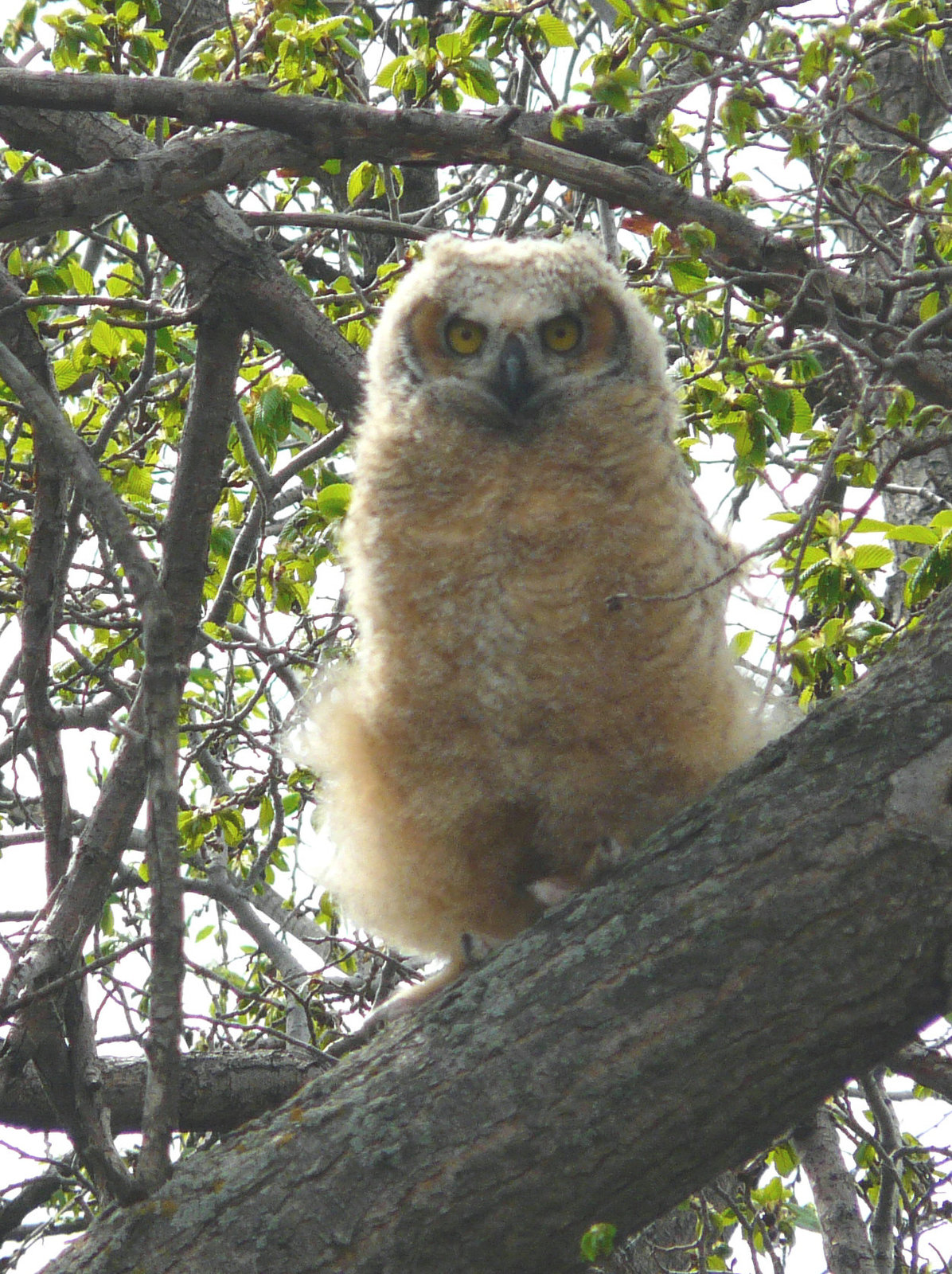 Mom's suffering from Empty Nest syndrome