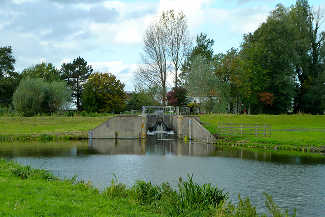 Pumping water