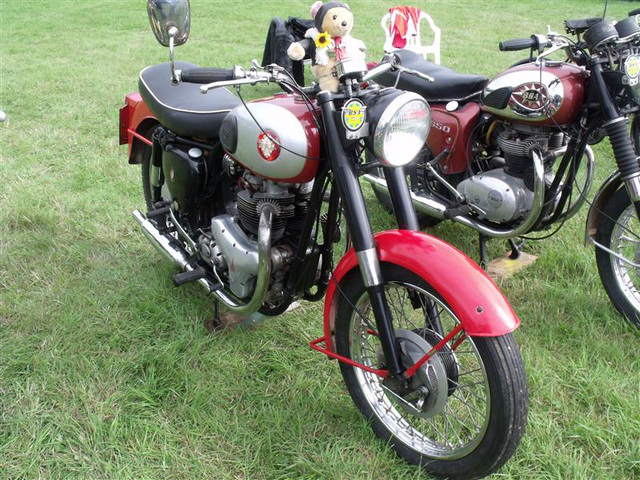 raug29 (1223)