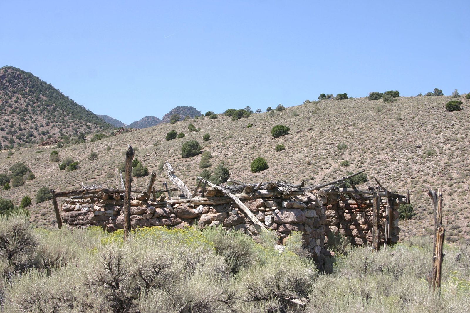 Ruined cabin, Kawich range