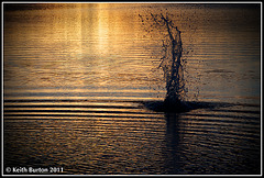 Sunset at Langstone Harbour with water splash