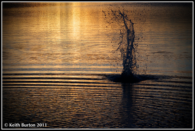 Sunset at Langstone Harbour with water splash