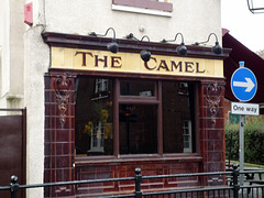 The Camel One way