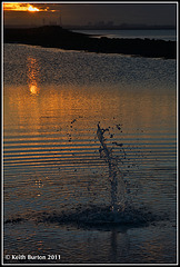 Sunset at Langstone Harbour with water splash