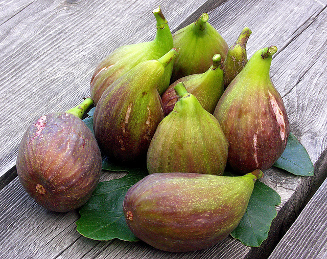 9 big figs