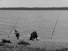 A Shore Thing (Mono) - 25 June 2013