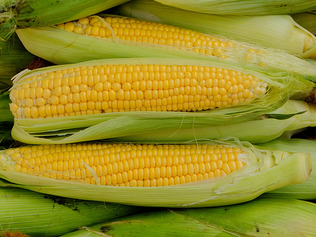 Sweetcorn