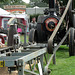 raug29 (1238) raug29 (1238)