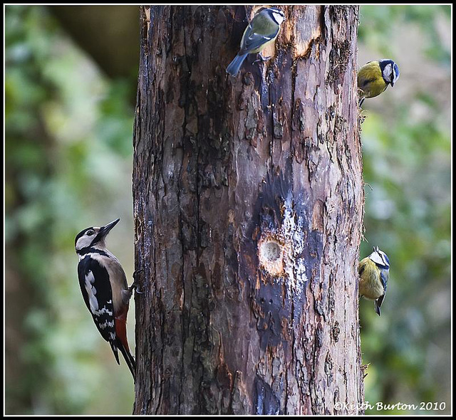 Woody and friends.......