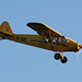 EI-CIG Piper Cub