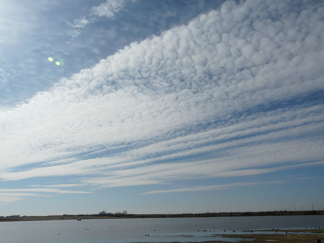 Alberta skies