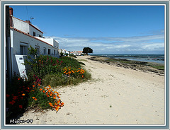 NOIRMOUTIER