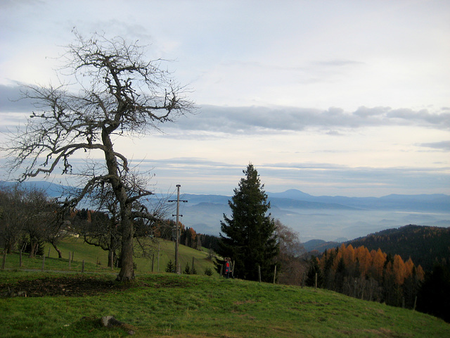 Obergreutschach, Werhounig