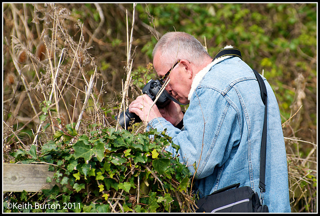 Random Photographer at WWT Arundel