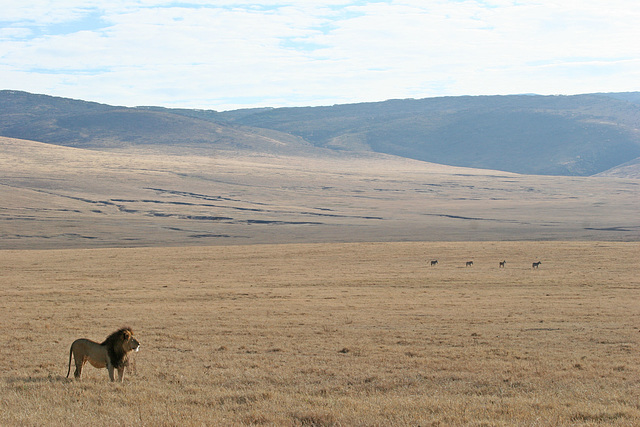 King of the Crater