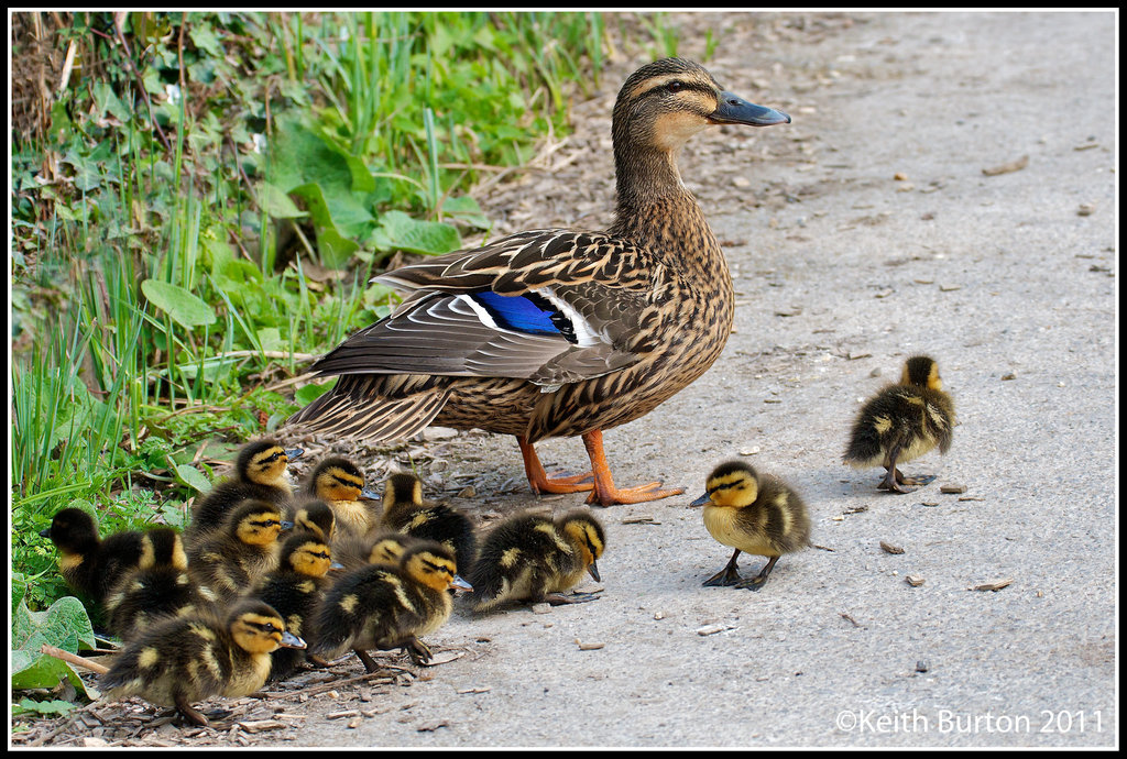 Signs of spring