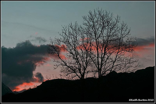 Silhouette