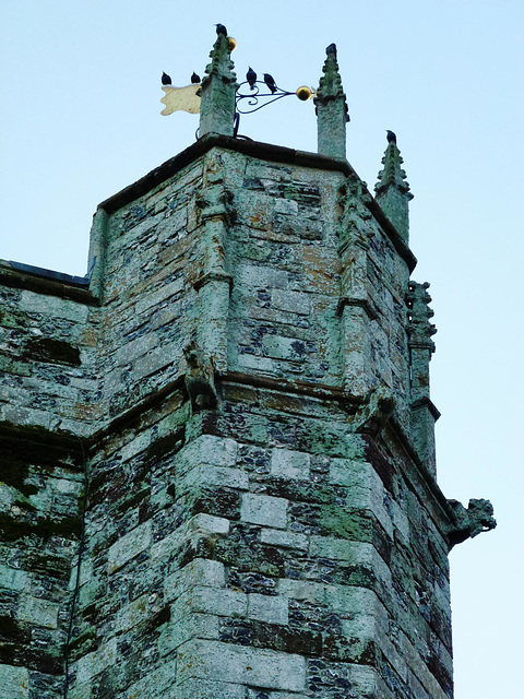 bere regis church , dorset