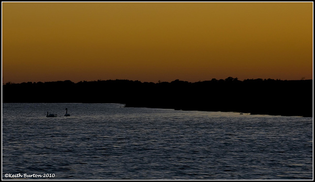 Hatchet Pond 3