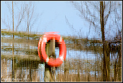 Upside down reflections