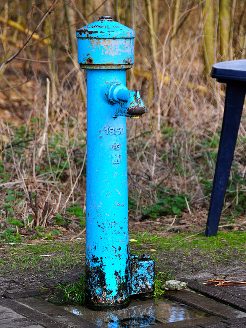 Free drinking water in the dunes near the Wassenaarse Slag