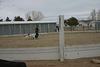 Jack w/Ian & goats