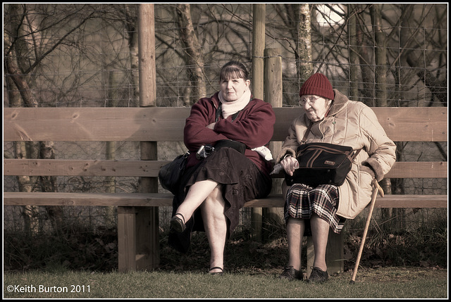 Ladies on the Bench